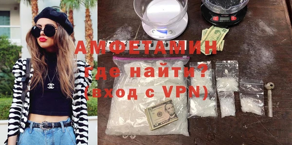шишки Новозыбков