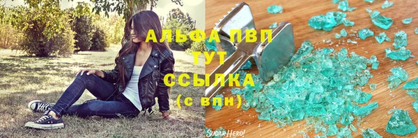 шишки Новозыбков