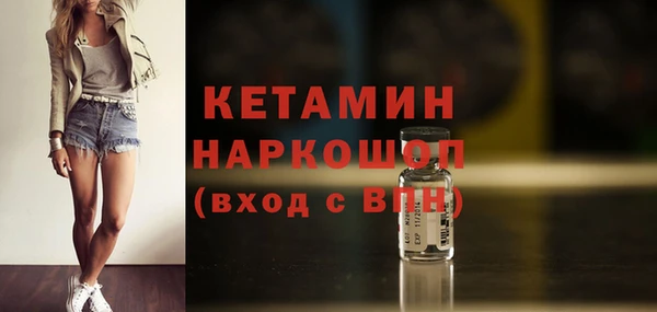шишки Новозыбков