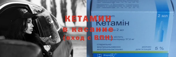 шишки Новозыбков