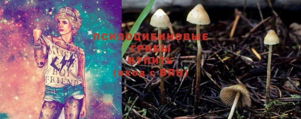 шишки Новозыбков
