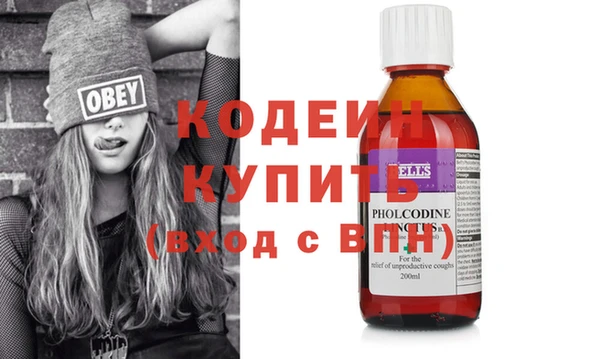 шишки Новозыбков