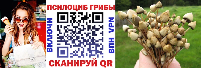 Галлюциногенные грибы Psilocybine cubensis ссылка на мегу маркетплейс Урюпинск
