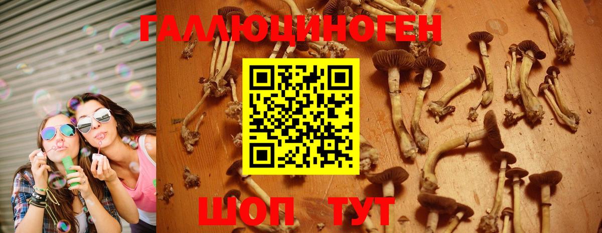 Псилоцибиновые грибы GOLDEN TEACHER Урюпинск