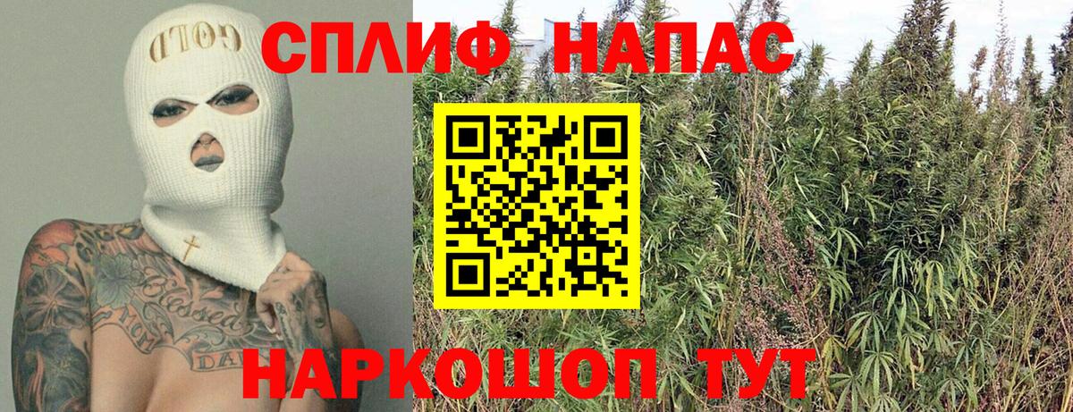 Бошки Шишки семена  Бошки Шишки THC 21%  Вход с VPN  Урюпинск 